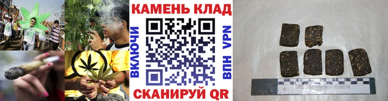 ГАШ Premium  Сосновый Бор 