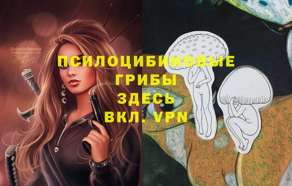 MDMA Premium VHQ Магадан