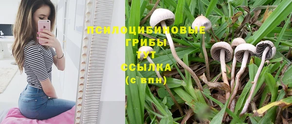 MDMA Premium VHQ Магадан