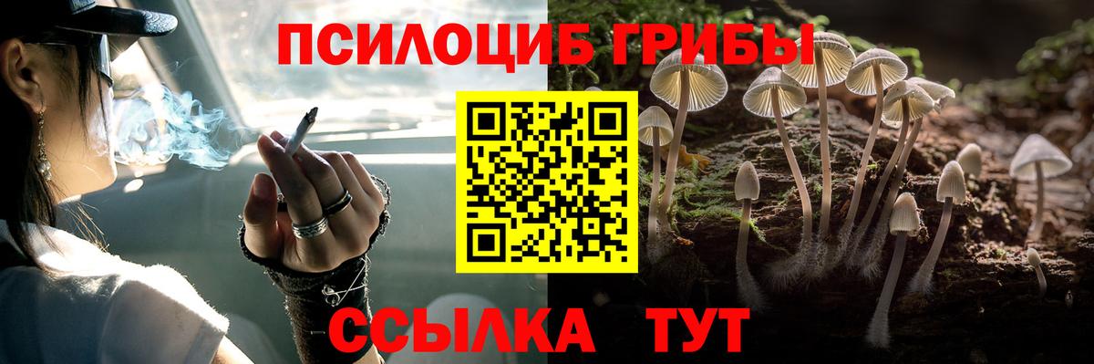 Галлюциногенные грибы мухоморы Сосновый Бор