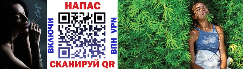 где найти   Сосновый Бор  МАРИХУАНА THC 21% 